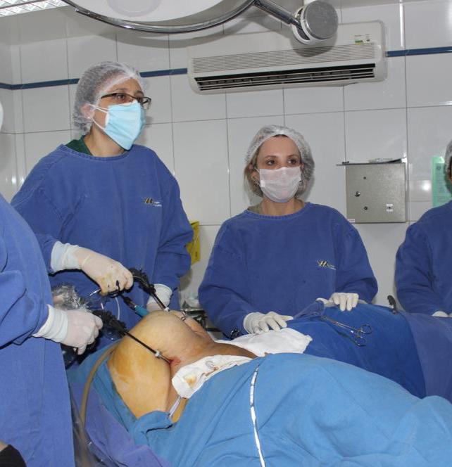 Imagenfplaparoscopia